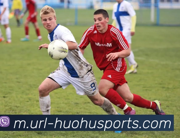 火狐体育平台生态图